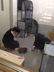 【鹿児島県】動物愛護センター施設見学2