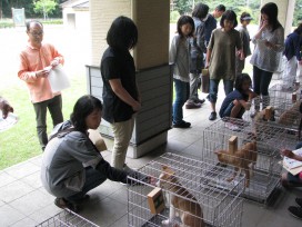 動物愛護センター・譲渡会での現場体験