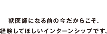 獣医師になる前の今だからこそ、経験してほしいインターンシップです。