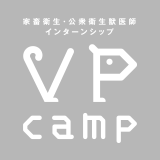VPcamp